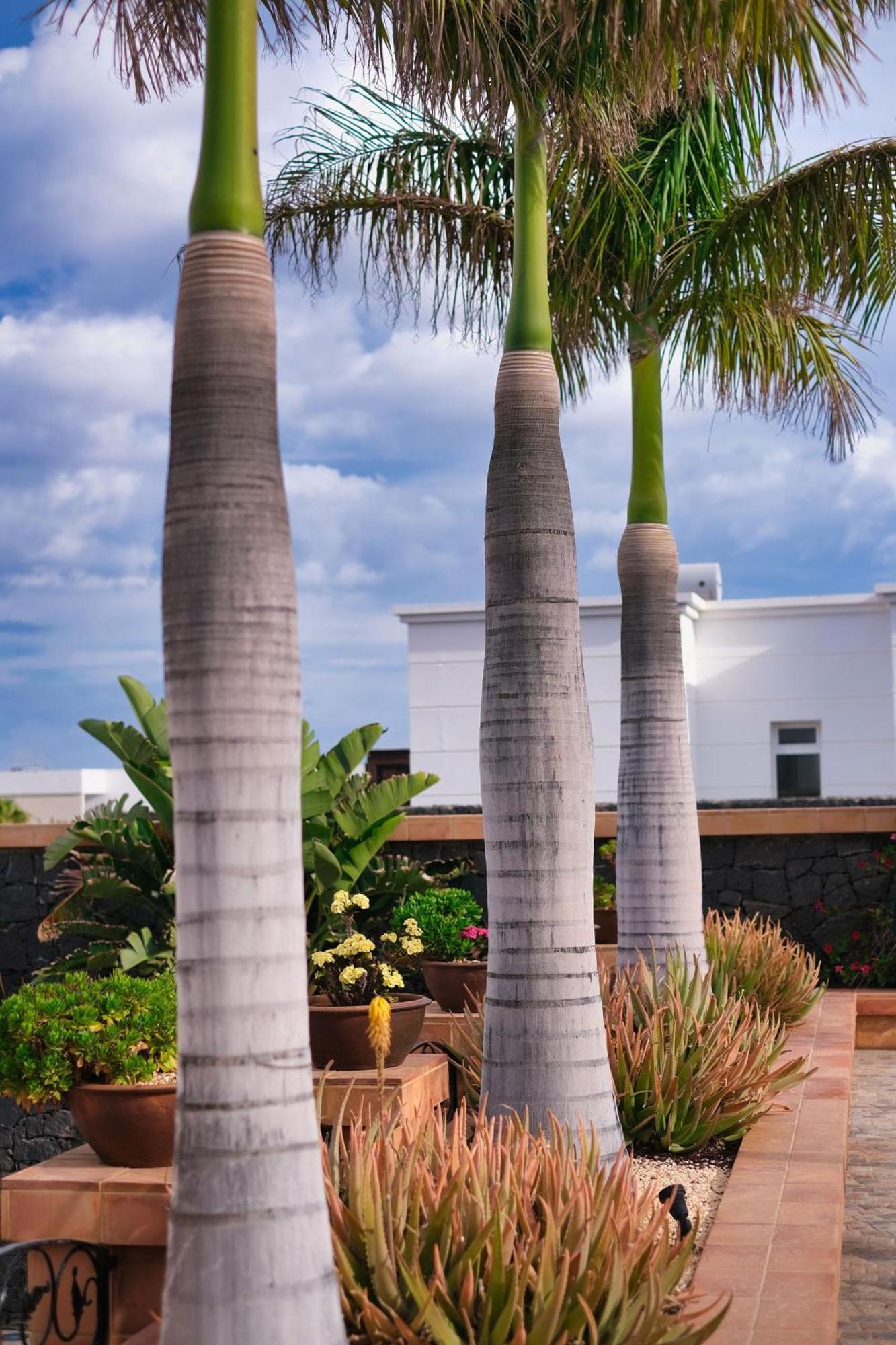 Casa Mia Guest House Puerto Calero Exterior foto